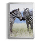 African Affection - Modern Framed Canvas Print