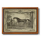 Distinguished Horses IV Premium Framed Canvas- Ready to Hang