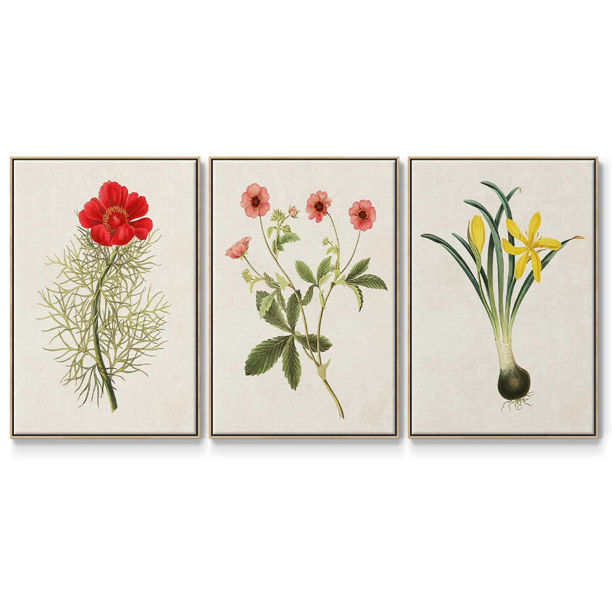 Flowers of the Seasons VI - Framed Premium Gallery Wrapped Canvas L Frame 3 Piece Set - Ready to Hang