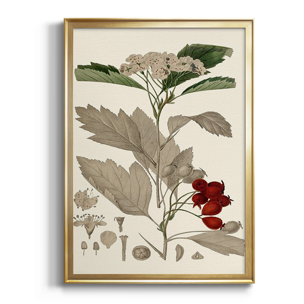 Leaves & Berries I - Modern Framed Canvas Print