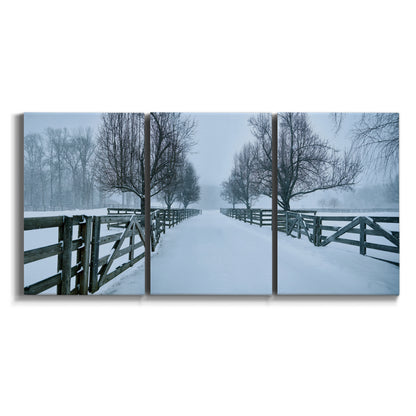 Three-panel canvas wall art featuring snow covered rural road photograph on white background.
