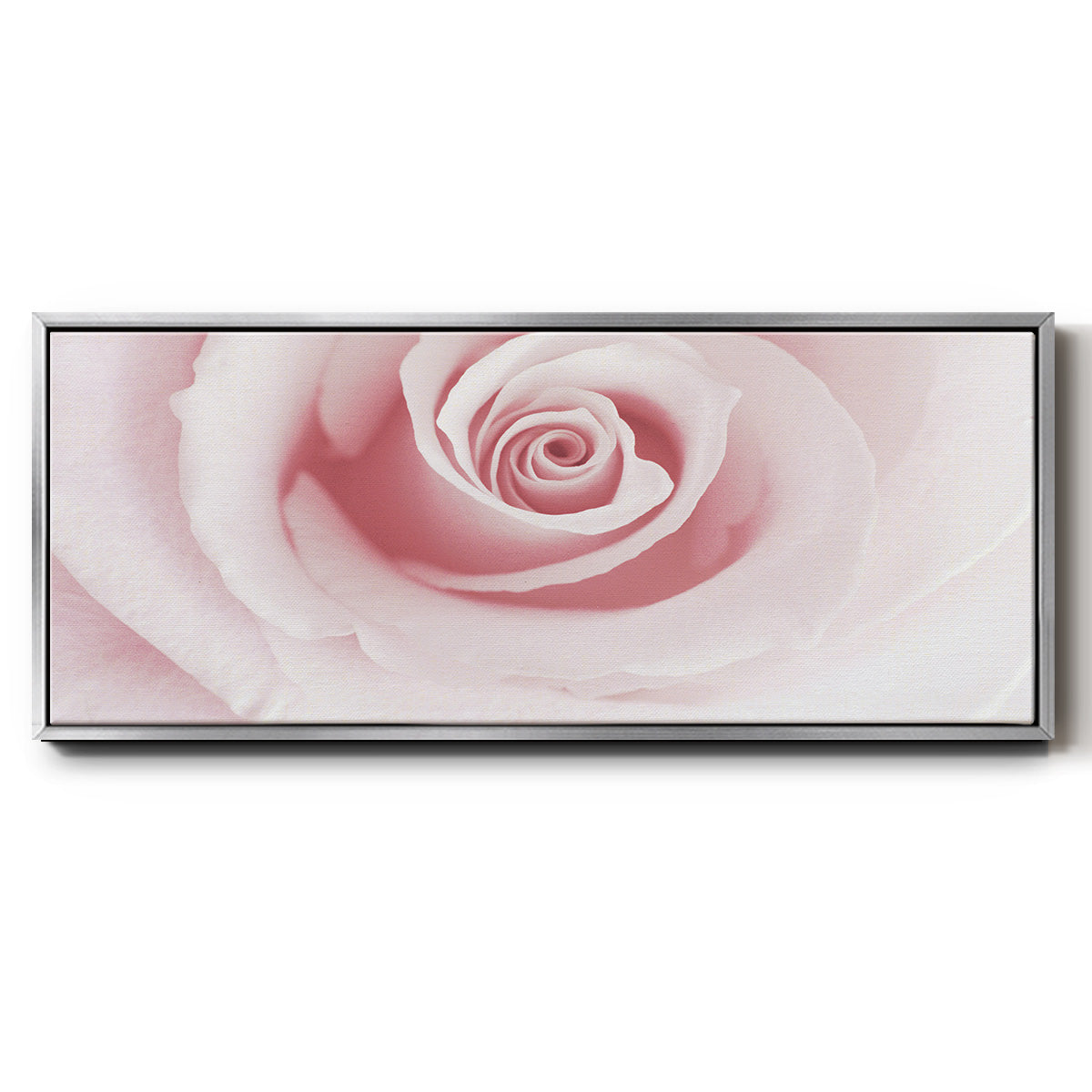 Rose Embrace - Floater Framed Canvas Print