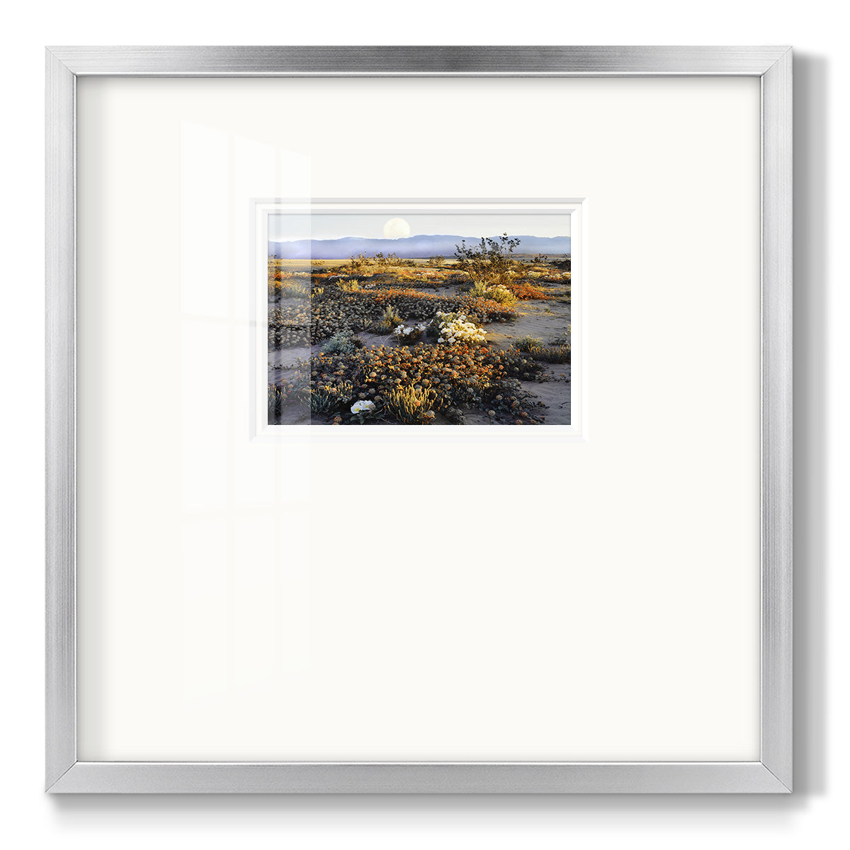 Anza Borrego Desert - Double Matboard Framed Print