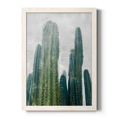 Aruba Cacti I - Premium Canvas Framed in Barnwood - Ready to Hang