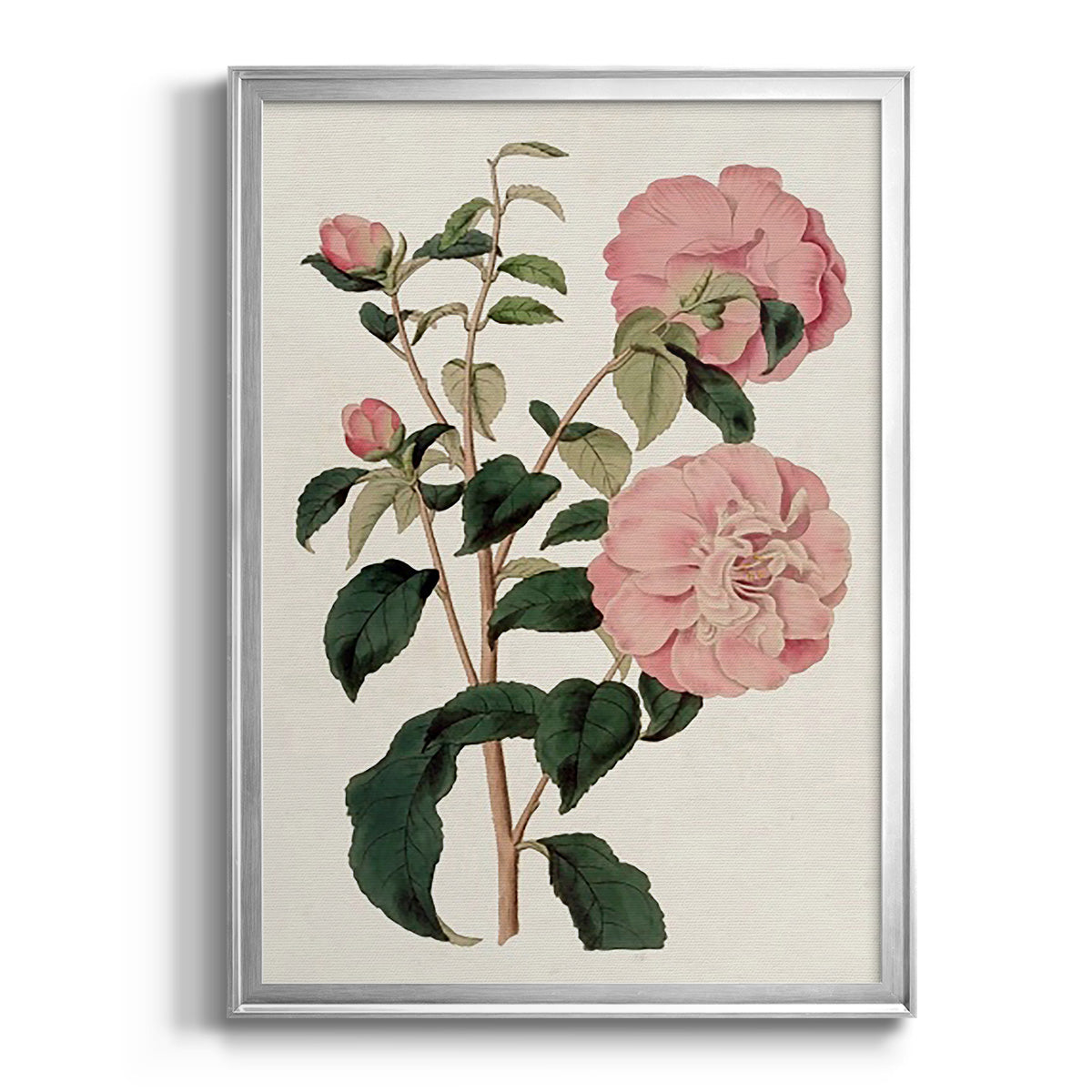 Pink Floral Mix IV - Modern Framed Canvas Print