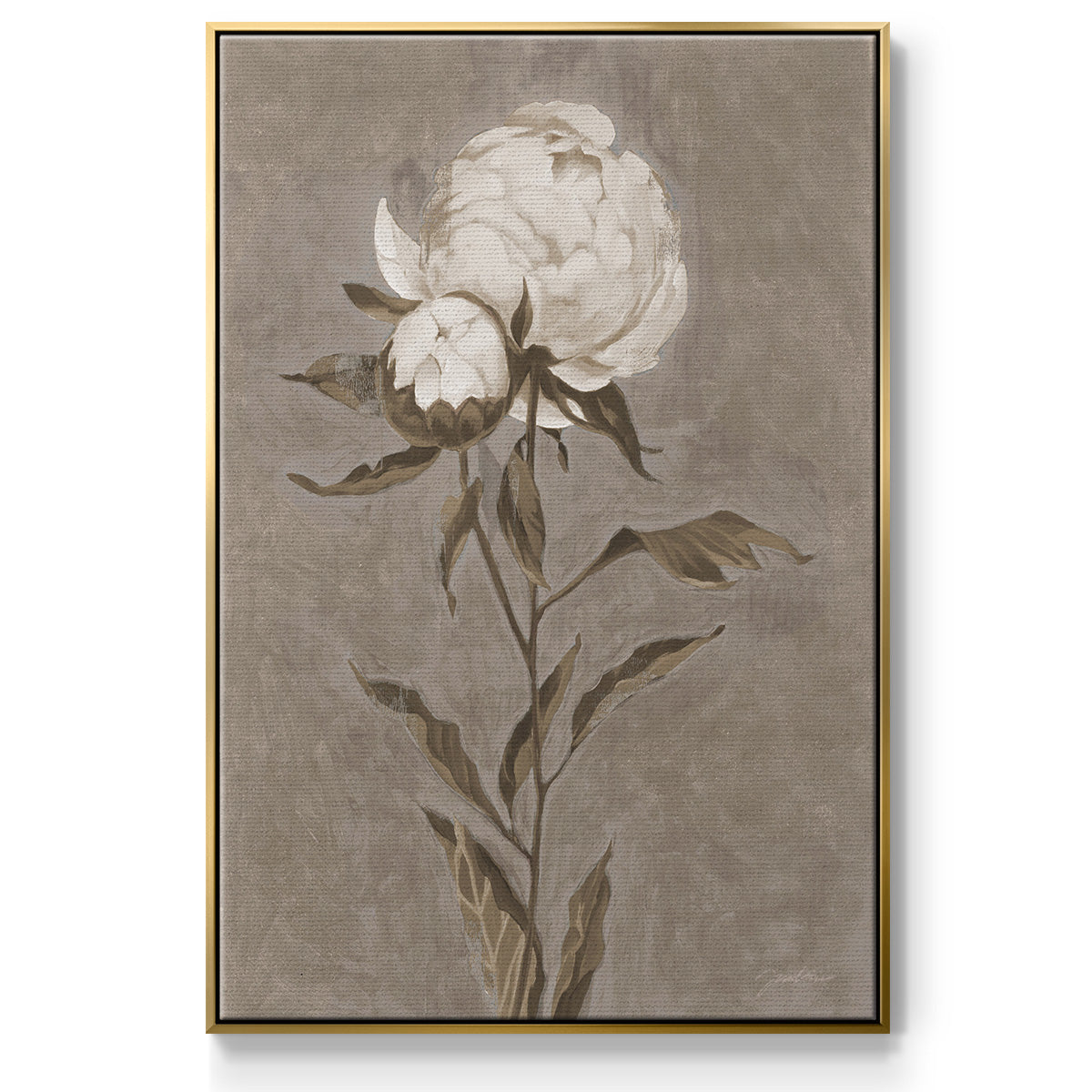 Pretty as a Peony II - Framed Premium Gallery Wrapped Canvas L Frame - Ready to Hang