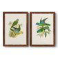 Lime & Cerulean Parrots I - Barnwood Framed Canvas Set