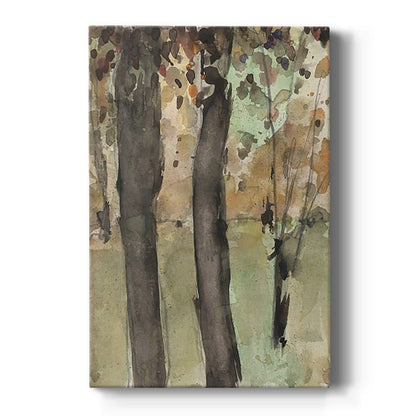 Under the Tree Confetti I - Canvas Art Print