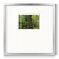 Calm of the Forest- Premium Framed Print Double Matboard