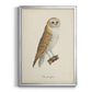 French Owls VI - Modern Framed Canvas Print