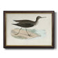 Morris Sandpipers VII Premium Framed Canvas- Ready to Hang