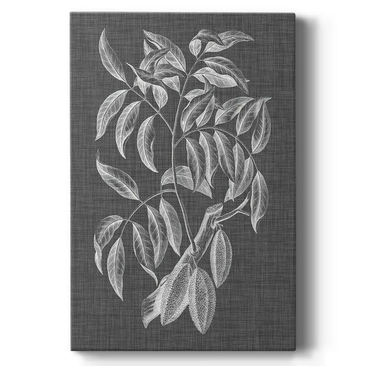 Graphic Foliage III Premium Gallery Wrapped Canvas - Ready to Hang