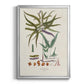 Botanical Society Ferns VIII - Modern Framed Canvas Print