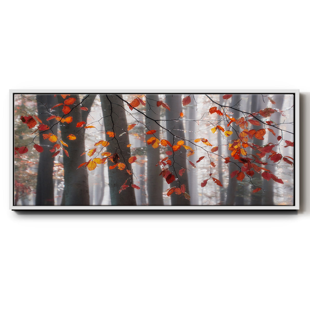 Falling Moments - Floater Framed Canvas Print