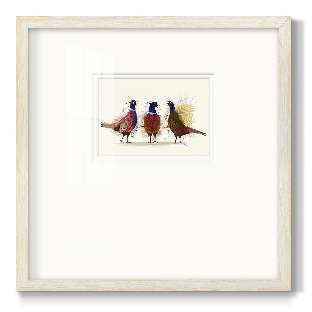 Pheasant Trio Premium Framed Print Double Matboard