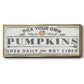 Pumpkin Patch I - Floater Framed Canvas Print