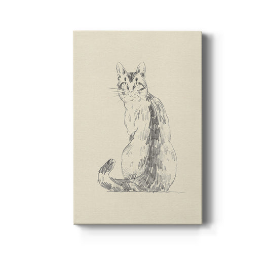 House Cat V Premium Gallery Wrapped Canvas - Ready to Hang