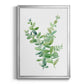 Eucalyptus III - Modern Framed Canvas Print