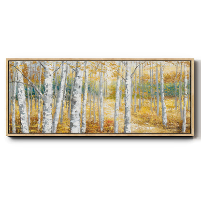 Birch Path II - Floater Framed Canvas Print