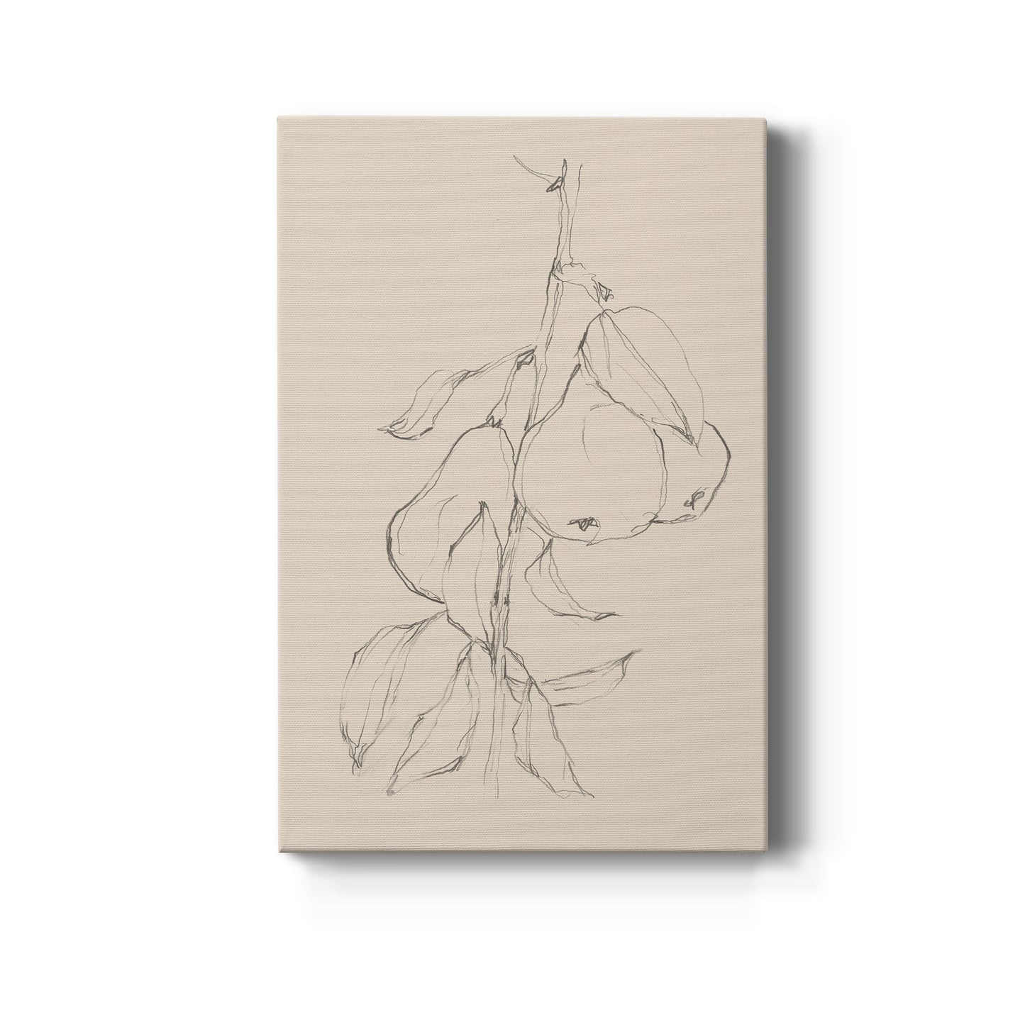 Fruit Contour Study II Premium Gallery Wrapped Canvas - Ready to Hang