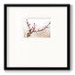 Cherry Blossom Study I - Double Matboard Framed Print