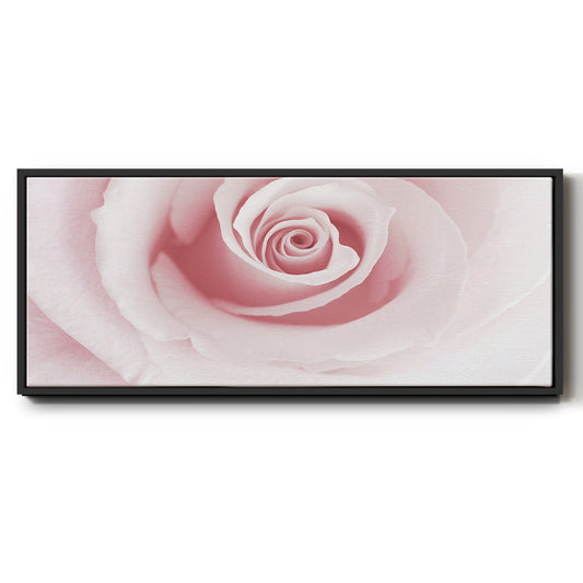Rose Embrace - Floater Framed Canvas Print