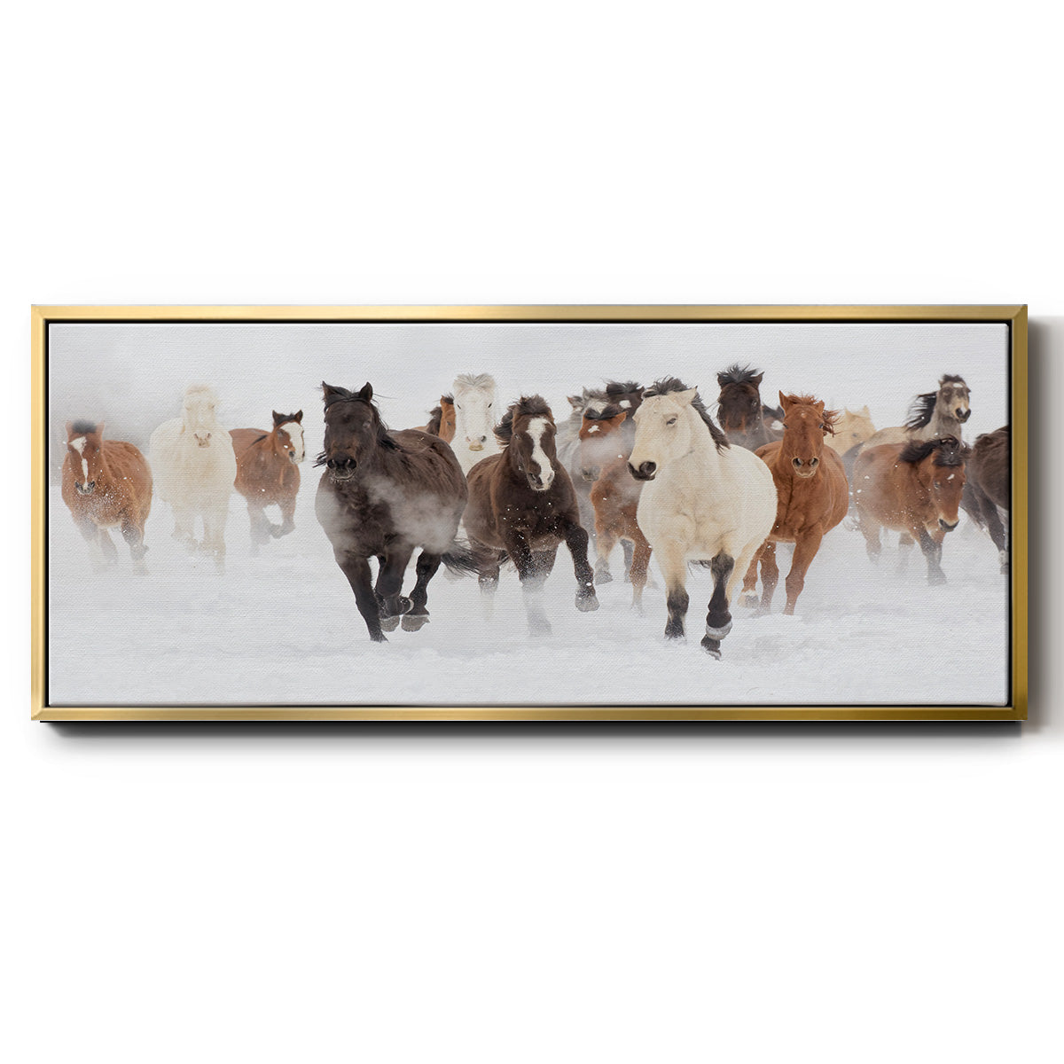 Pasture Run - Floater Framed Canvas Print