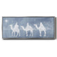 Star of Bethlehem Collection D - Floater Framed Canvas Print