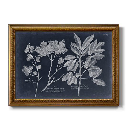 Foliage on Navy VI - Ornate Framed Canvas Print