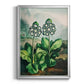 Temple of Flora XI - Modern Framed Canvas Print