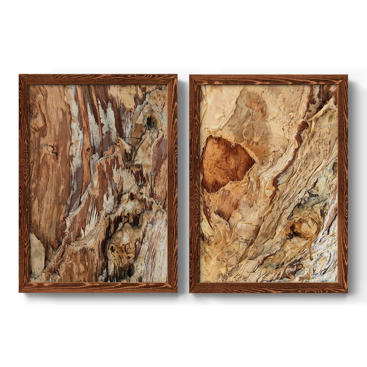 Tree Texture Triptych I - Premium Framed Canvas 2 Piece Set - Ready to Hang