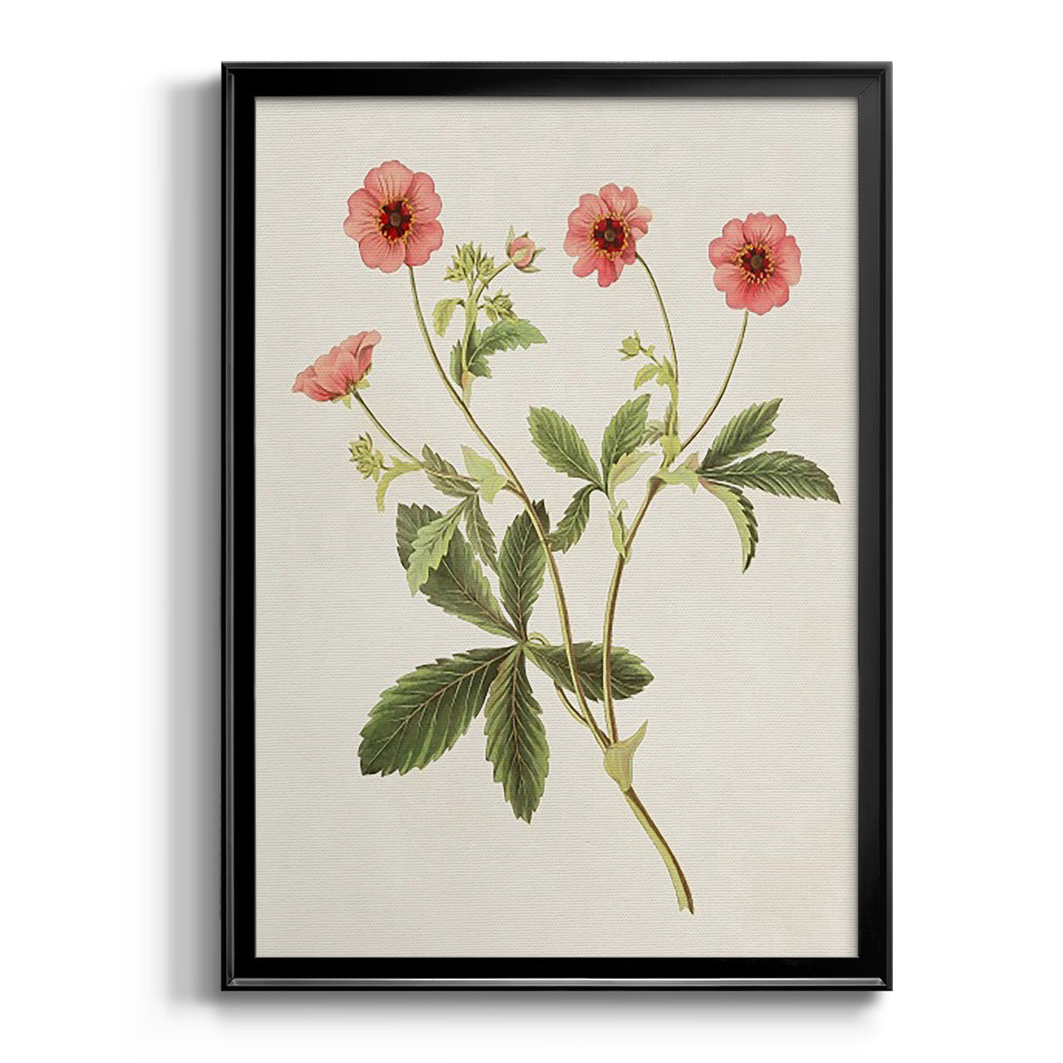 Flowers of the Seasons VIII - Modern Framed Canvas Print