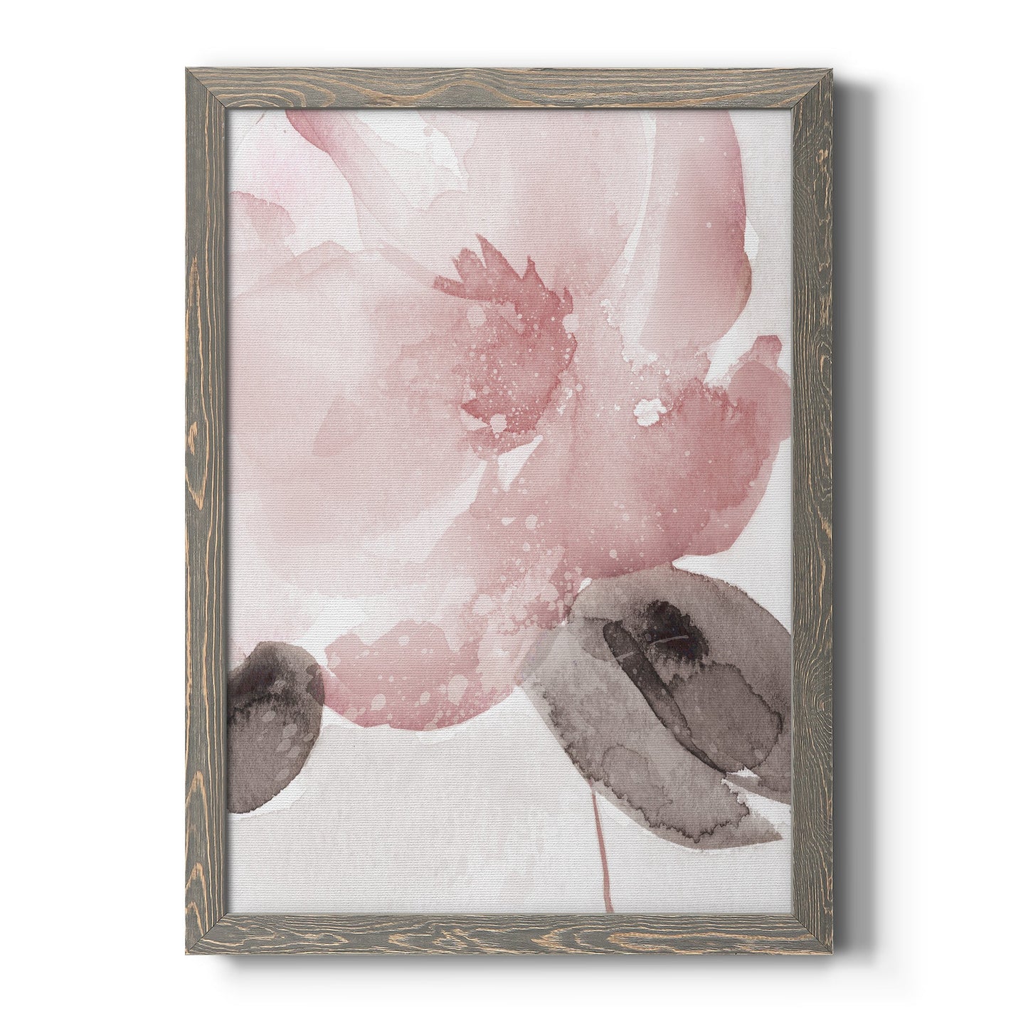Blush Bloom I - Barnwood Framed Canvas Print