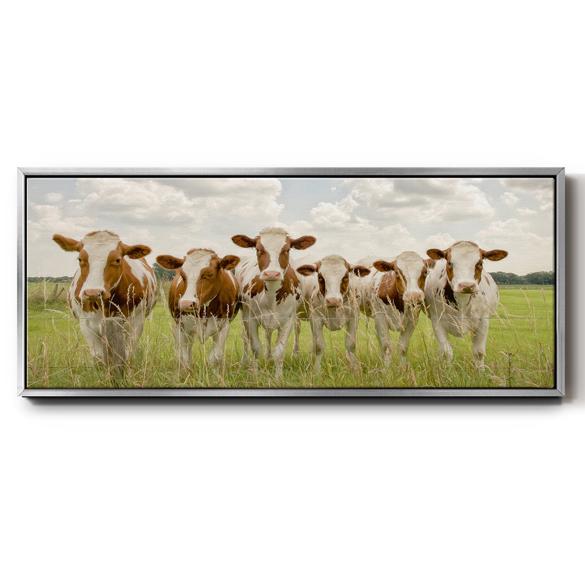 The F Side - Floater Framed Canvas Print