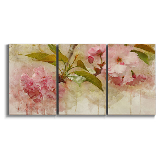 Three-panel canvas wall art featuring soft floral blossom composition on white background.