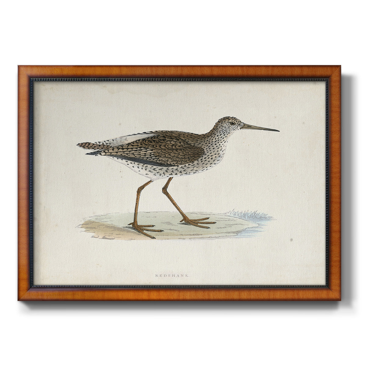 Morris Sandpipers V Premium Framed Canvas- Ready to Hang