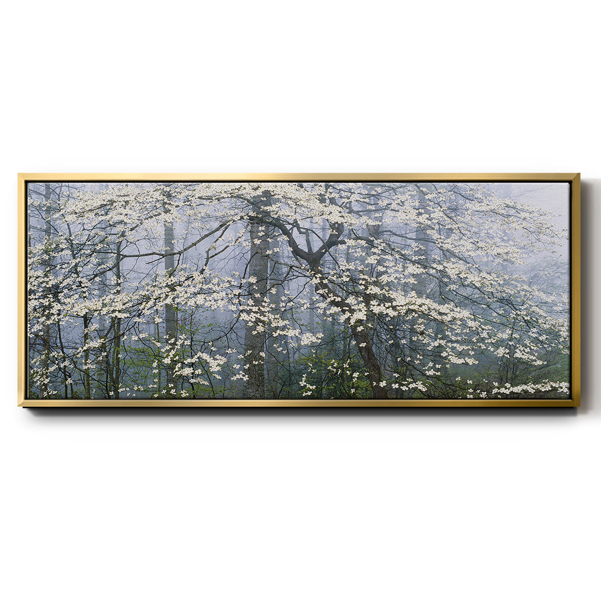 Dogwood Canopy - Floater Framed Canvas Print