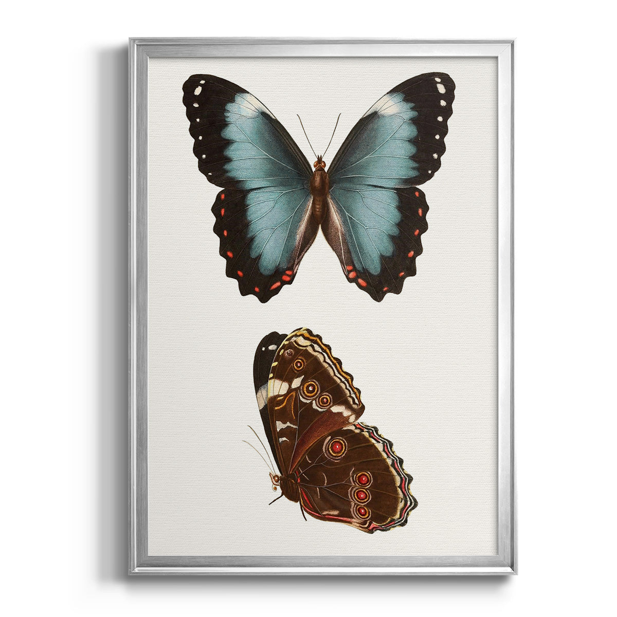 Antique Blue Butterflies IV - Modern Framed Canvas Print