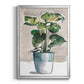 Potted Houseplant II - Modern Framed Canvas Print