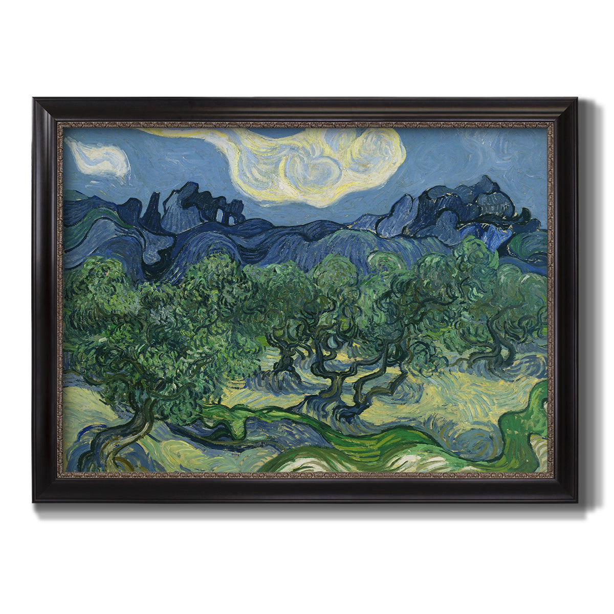 Olive Trees - Ornate Framed Canvas Print
