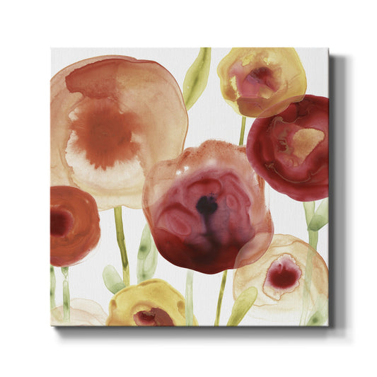 Poppy Patch II - Canvas Art Print