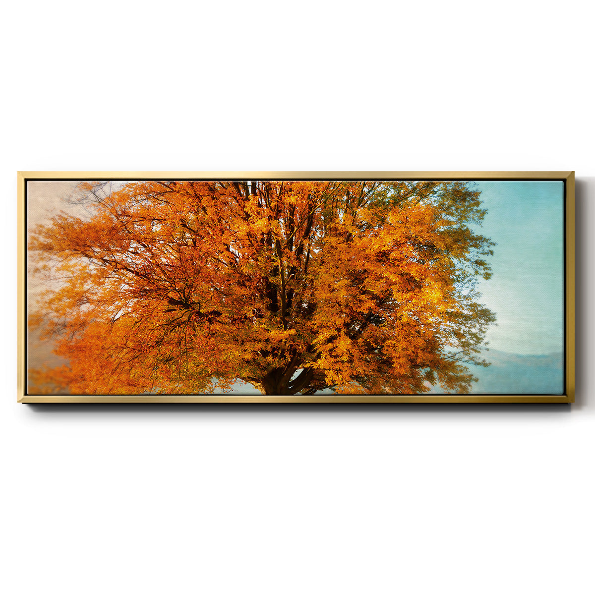 Autumn's Passion - Floater Framed Canvas Print
