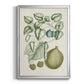 Buchoz Tropicals VIII - Modern Framed Canvas Print