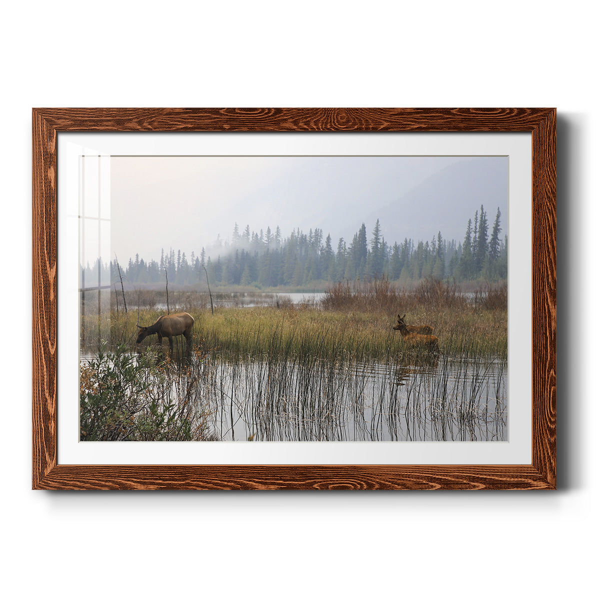 Out with the Twins - Barnwood Framed Art Print