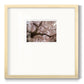 Spring's Arrival - Double Matboard Framed Print