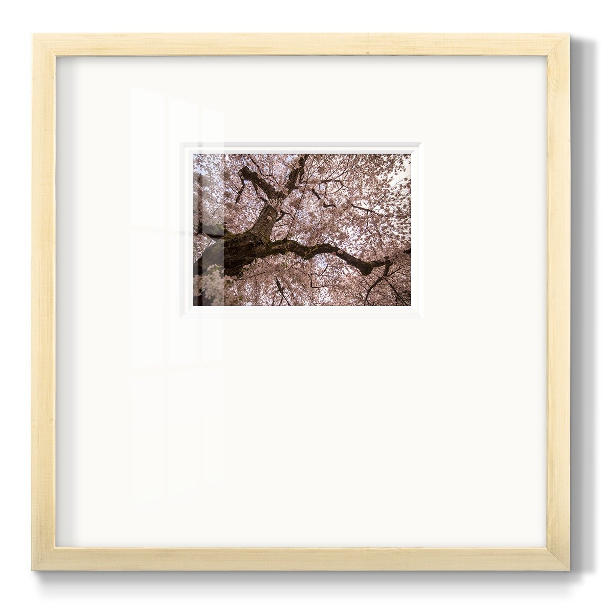 Spring's Arrival - Double Matboard Framed Print