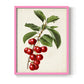 Antique Fruit II - Restickable Framed Art Print
