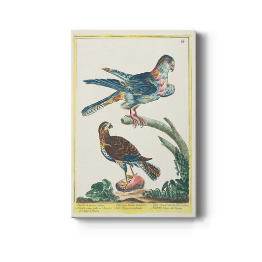 Pastel Birds III Premium Gallery Wrapped Canvas - Ready to Hang