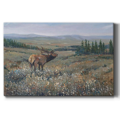 Western Wildlife I - Canvas Art Print