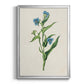 Flowers of the Seasons V - Modern Framed Canvas Print